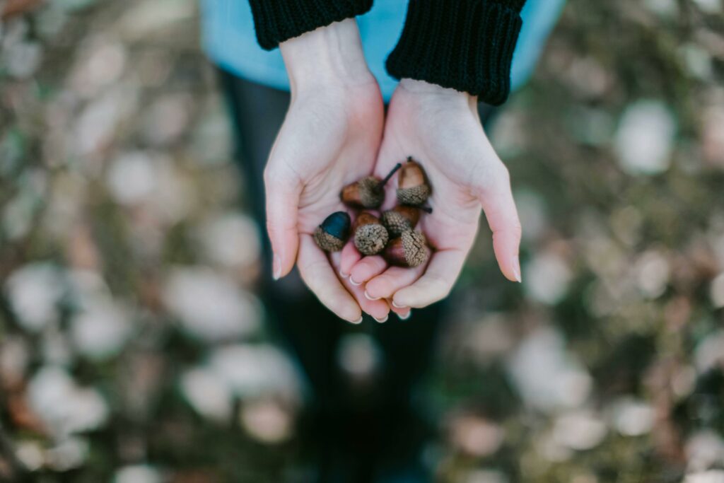 Acorns Investing